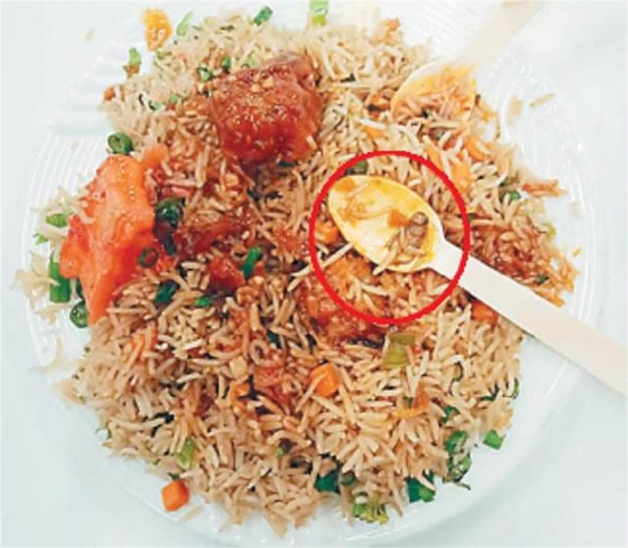 Cockroach found in food at Elante Mall in Chandigarh