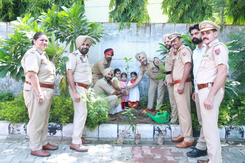 Tree Planting Campaign in Punjab 