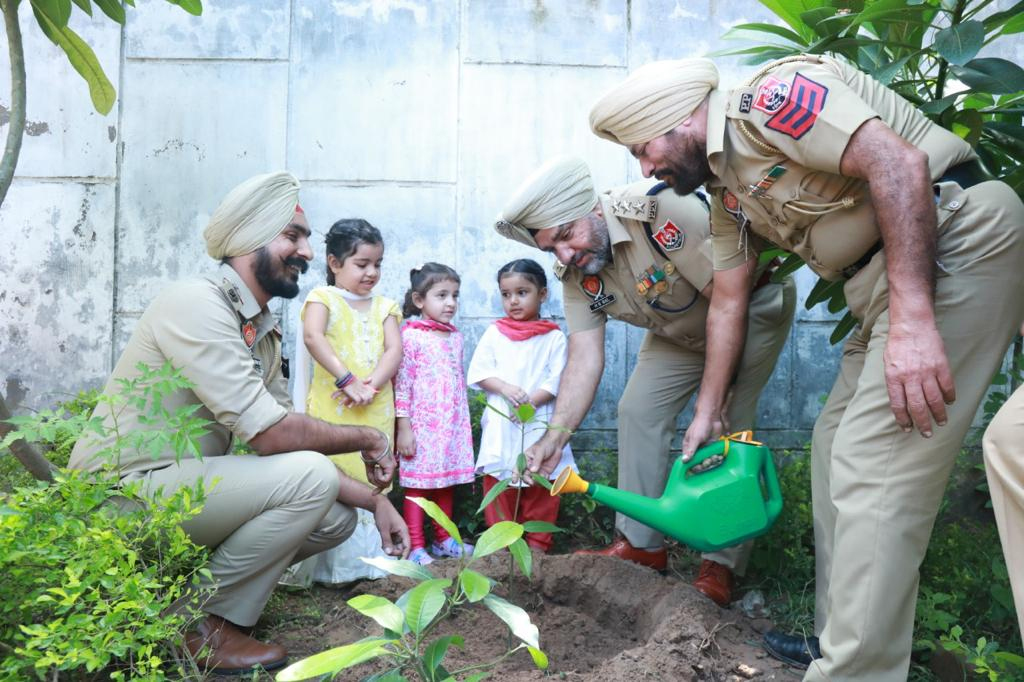 Tree Planting Campaign in Punjab 