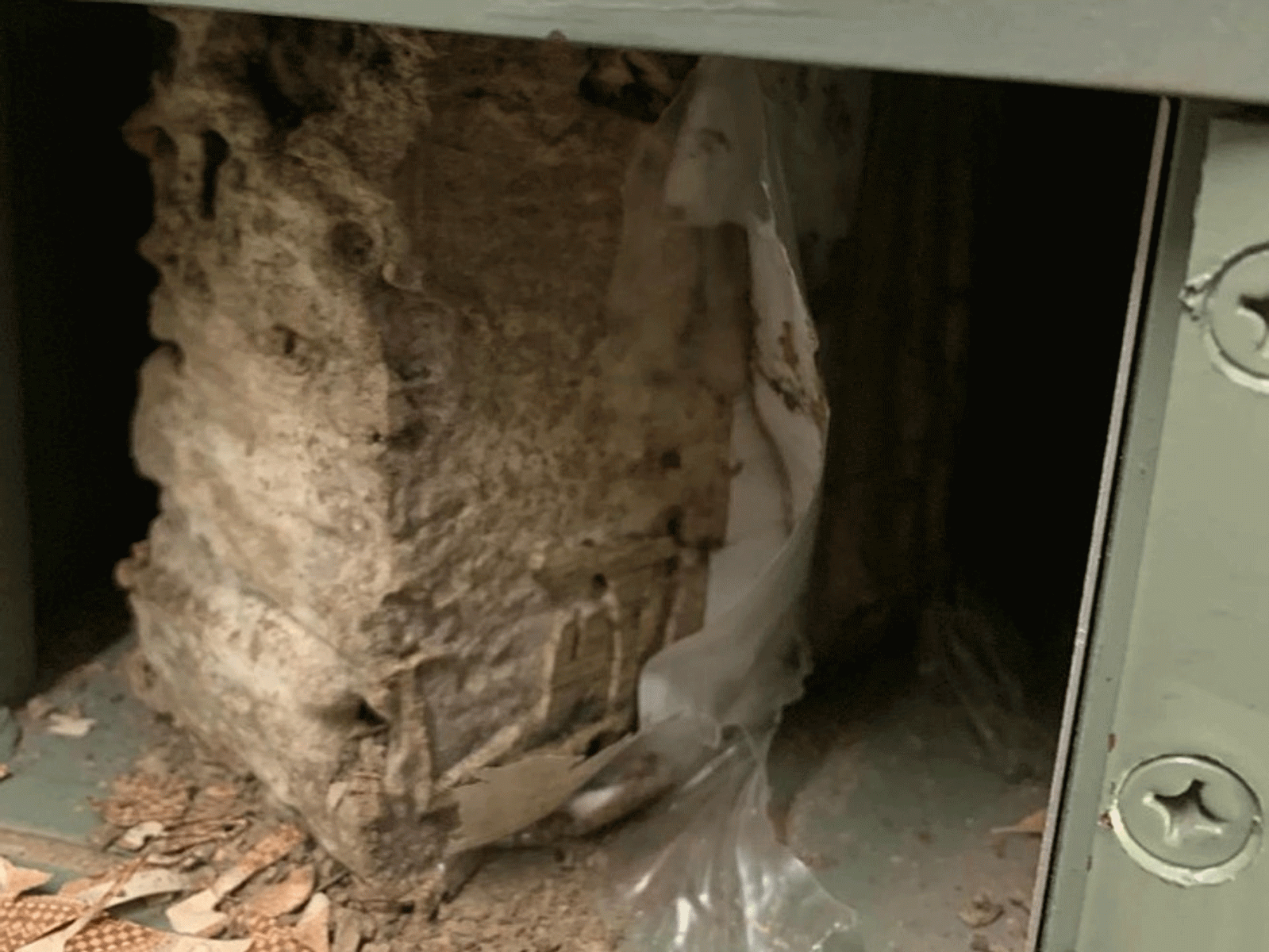 Cash Destroyed Due To Termite in PNB Locker