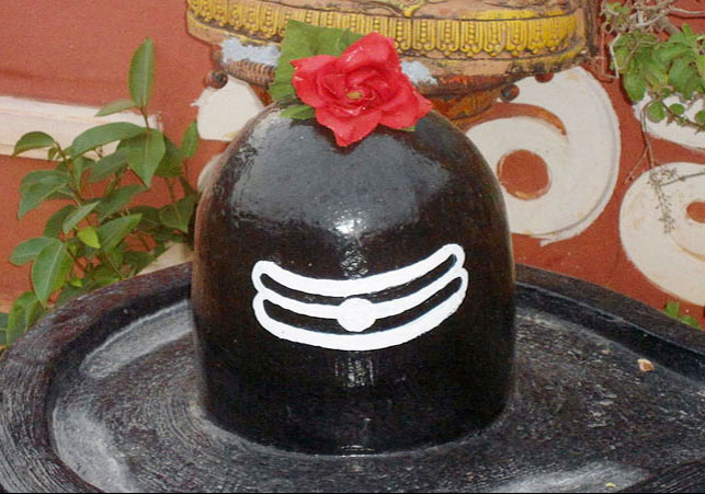   Mahashivaratri Par Shiv Puja Kaise Kren