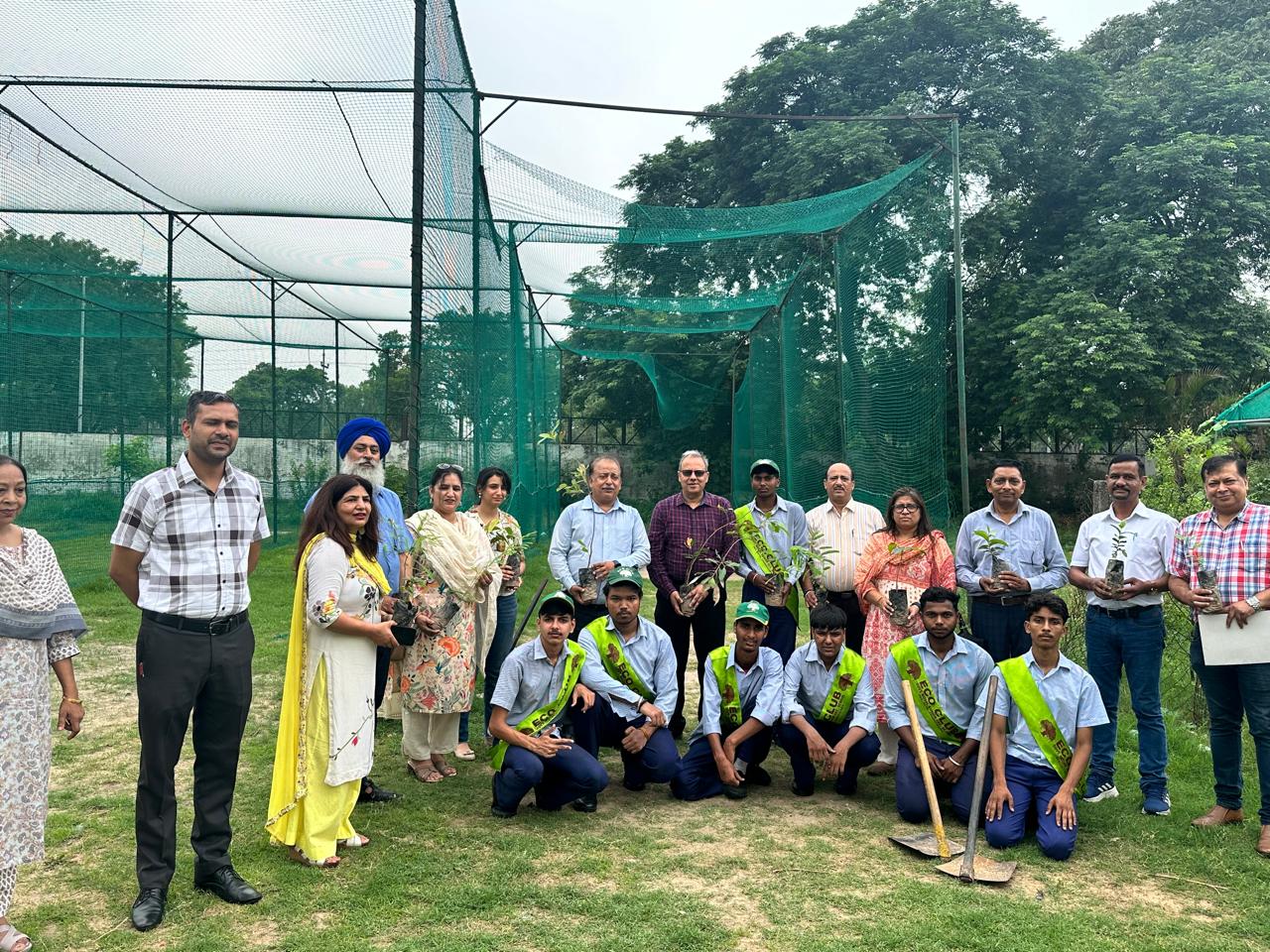 Tree Plantation Program