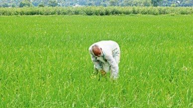 Mann Government Stands with Farmers