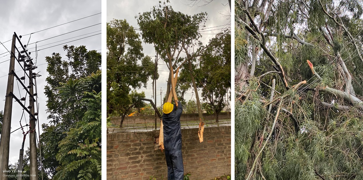 Chandigarh's Power Distribution Network