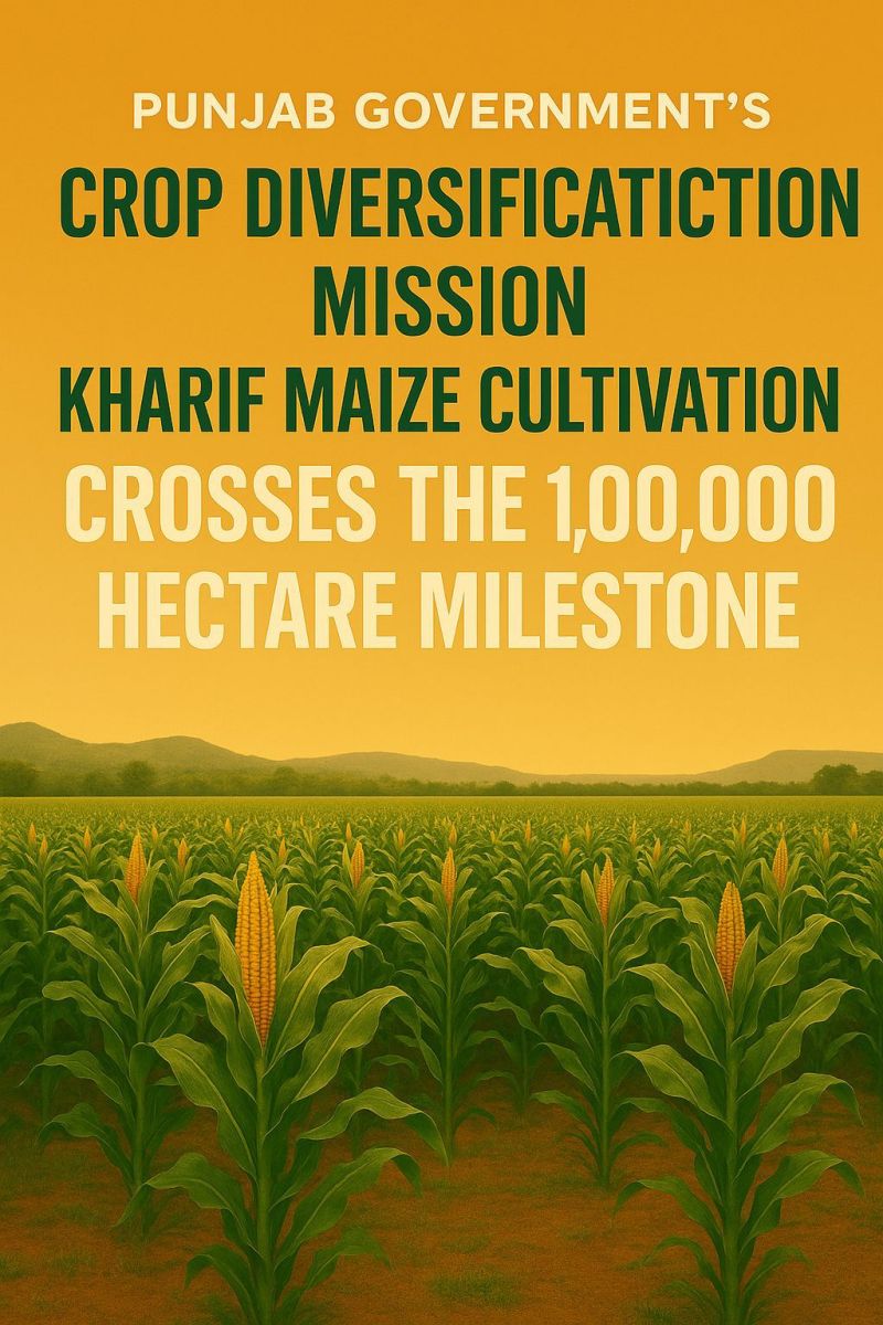 Punjab Government’s Crop Diversification Mission