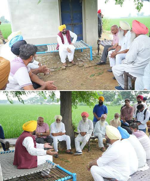 From Offices to Fields