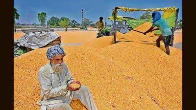 Punjab Government’s Crop Diversification Mission