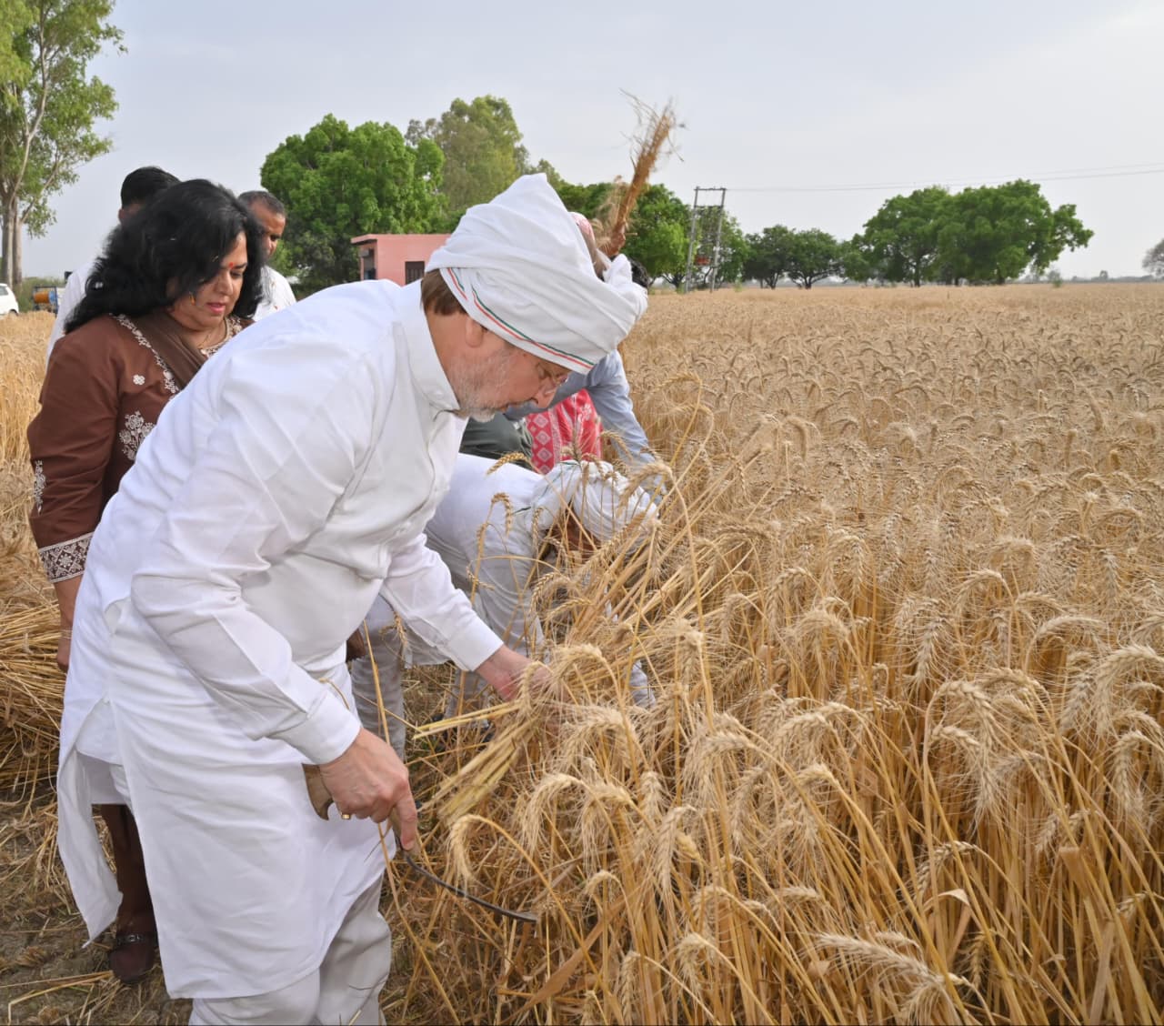 सहकारिता मंत्री का ठेठ अंदाज, मंडासा मार खेत में पहुंचे डॉ अरविंद शर्मा, पत्नी संग करी लामणी