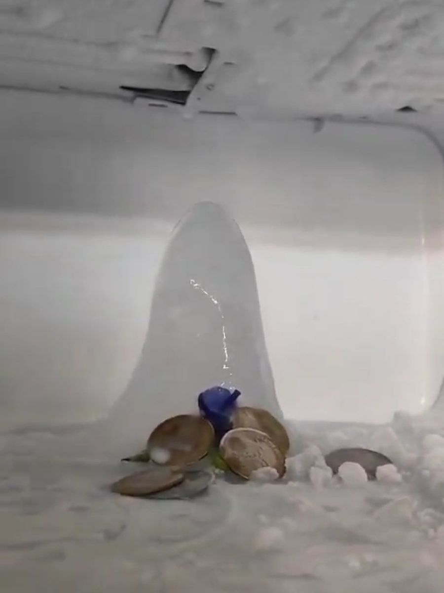 Agra Ice Shivaling in Fridge People Worshipping Viral Video