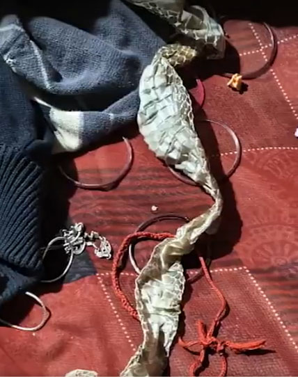 Auraiya Girl Nagin Story Who Put Snake Skin on Bed And Run Away