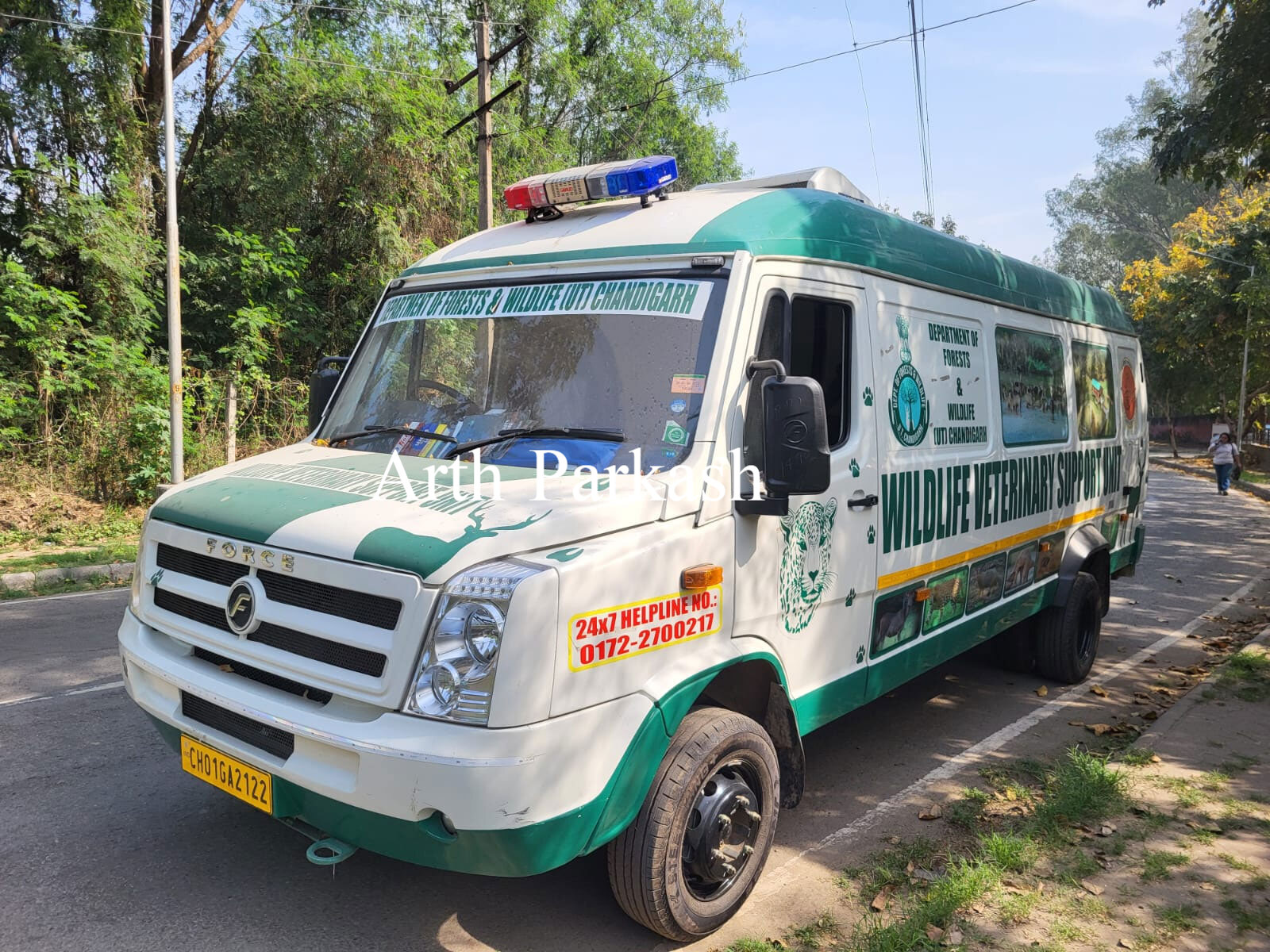 Chandigarh Leopard CCTV Footage Near Sector 29 Dargah Police Forest Team
