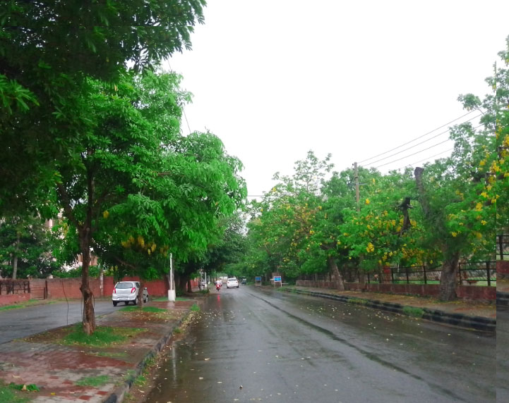 Chandigarh Weather Update Rain Today Mohali Panchkula News