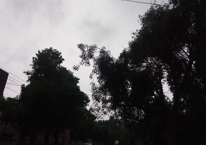 Chandigarh Weather Update Rain Today Mohali Panchkula News