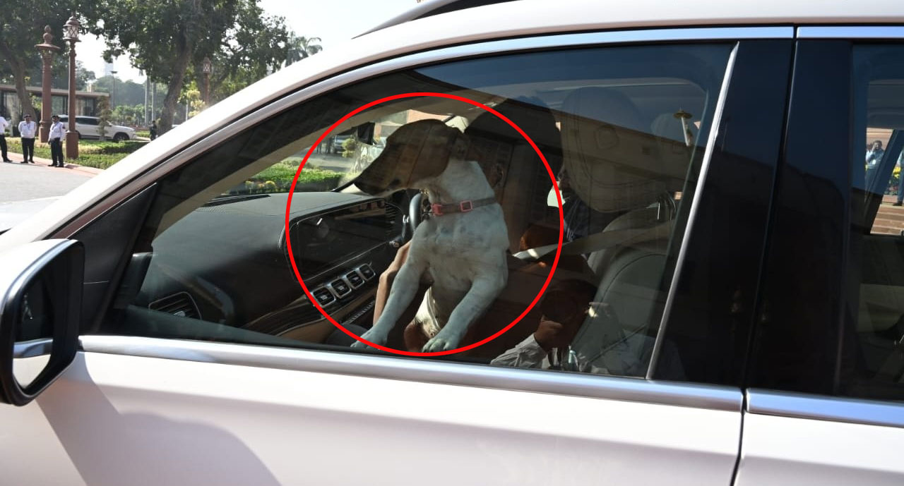 Congress MP Renuka Chowdhury Dog Controversy Parliament Session 2025