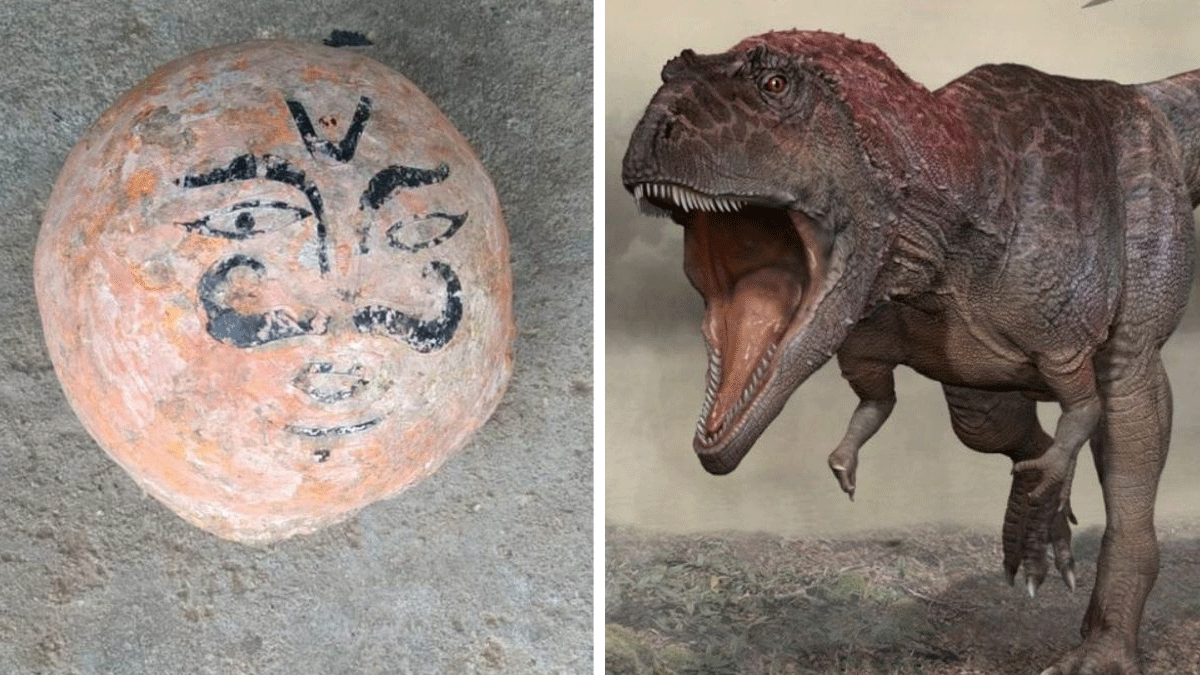 Dinosaur Eggs Found in Madhya Pradesh Dhar District Who Worshiped As Devta