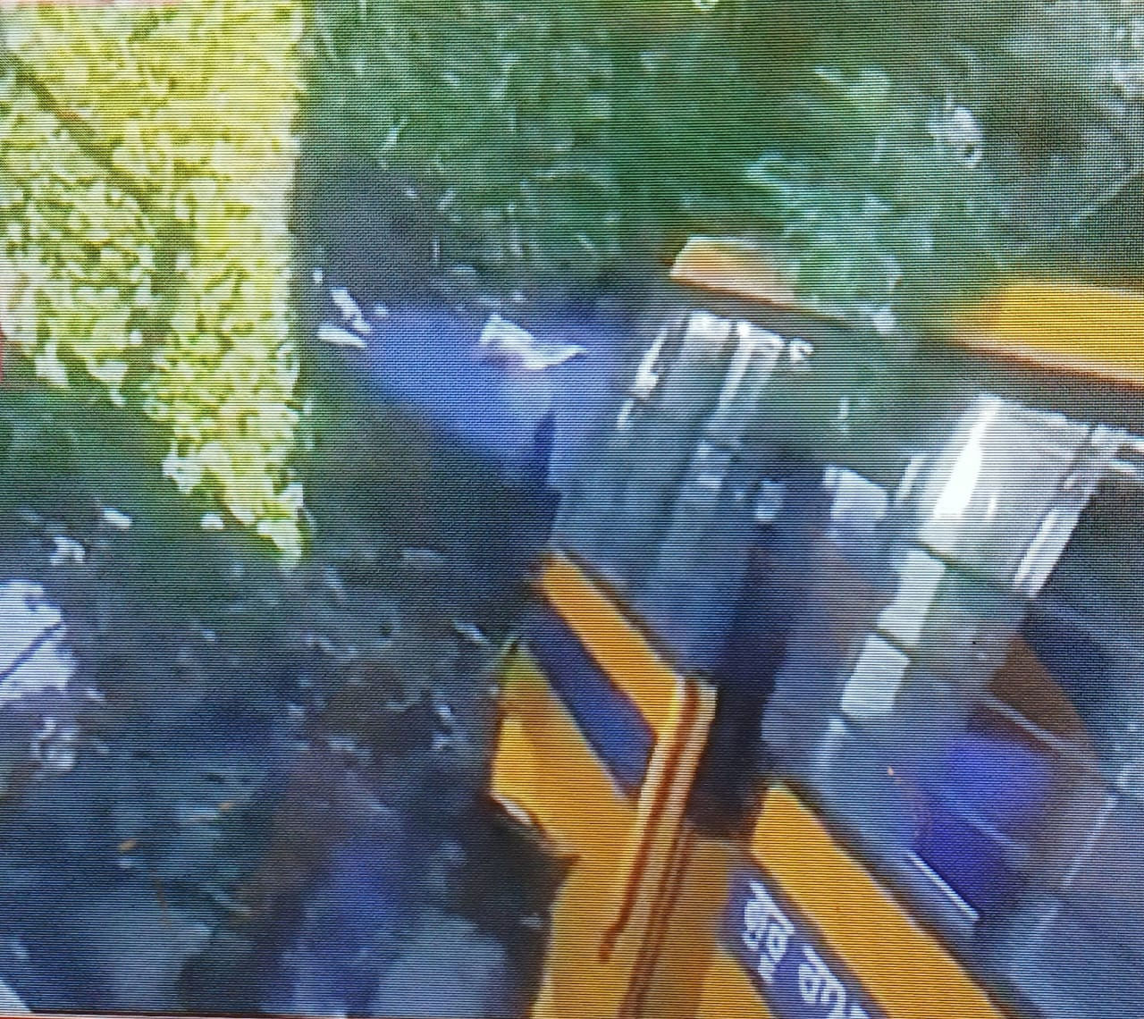 Ferozepur School Bus Accident