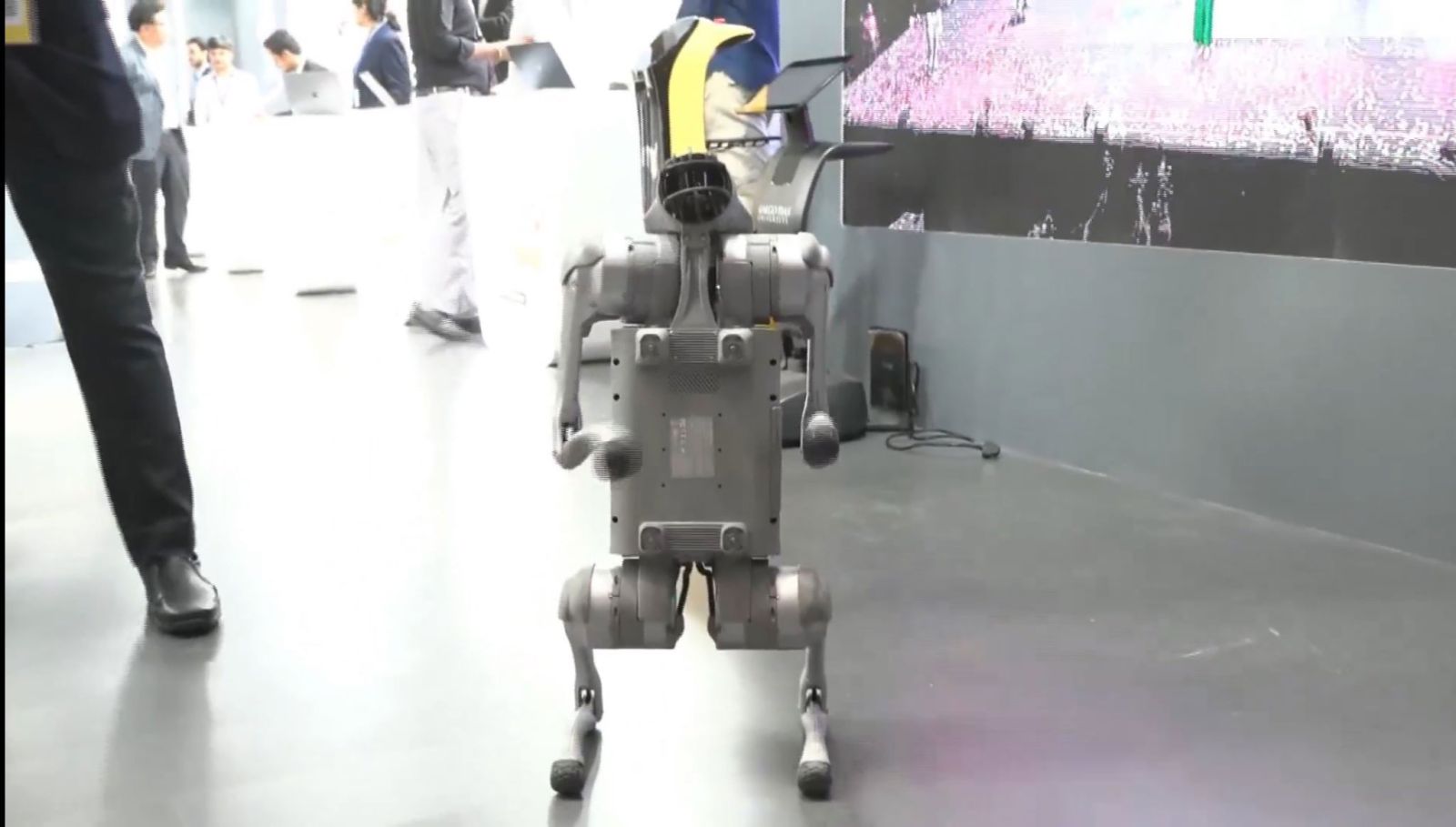 Galgotias University Display China Robotic Dog In India AI Impact Summit