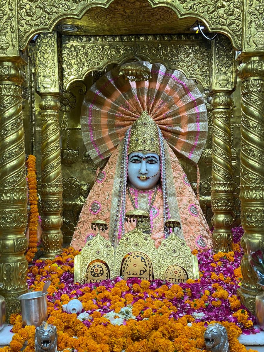 Chandigarh Panchkula Mata Mansa Devi Today Darshan