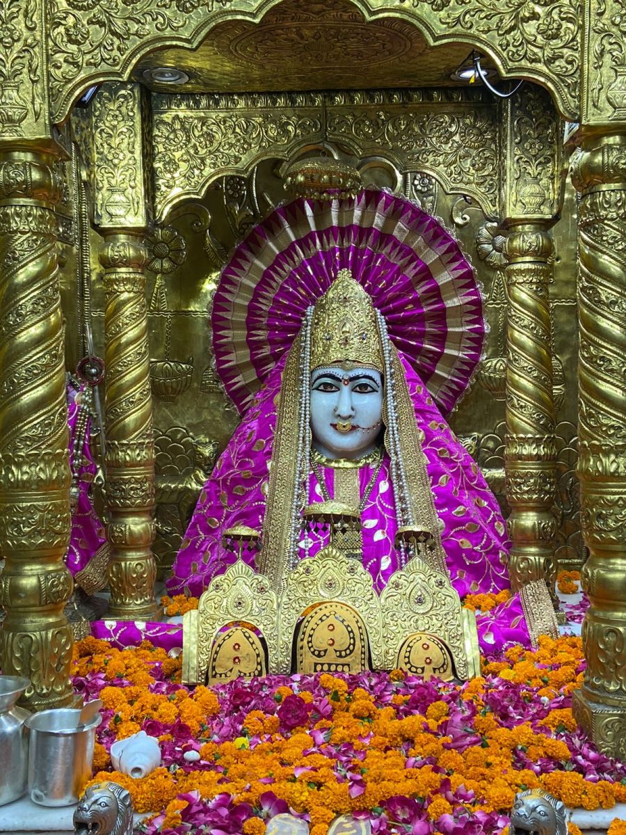 Panchkula Mata Mansa Devi Today Darshan Chandigarh