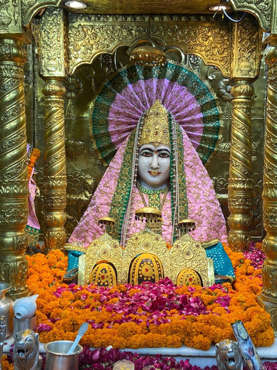 Mata Mansa Devi Darshan Today Near Chandigarh