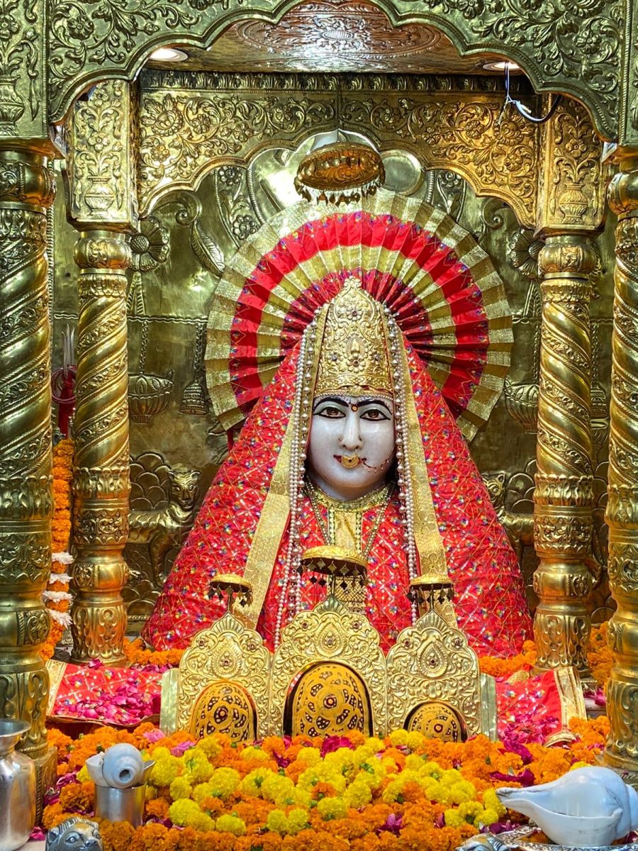 Panchkula Mansa Devi Today Darshan