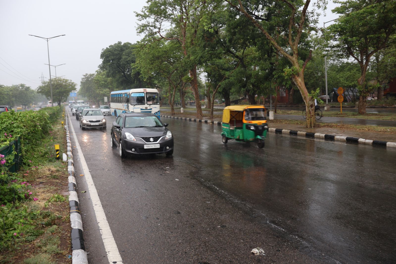 IMD Weather Chandigarh Punjab Haryana Rain Monsoon Entry