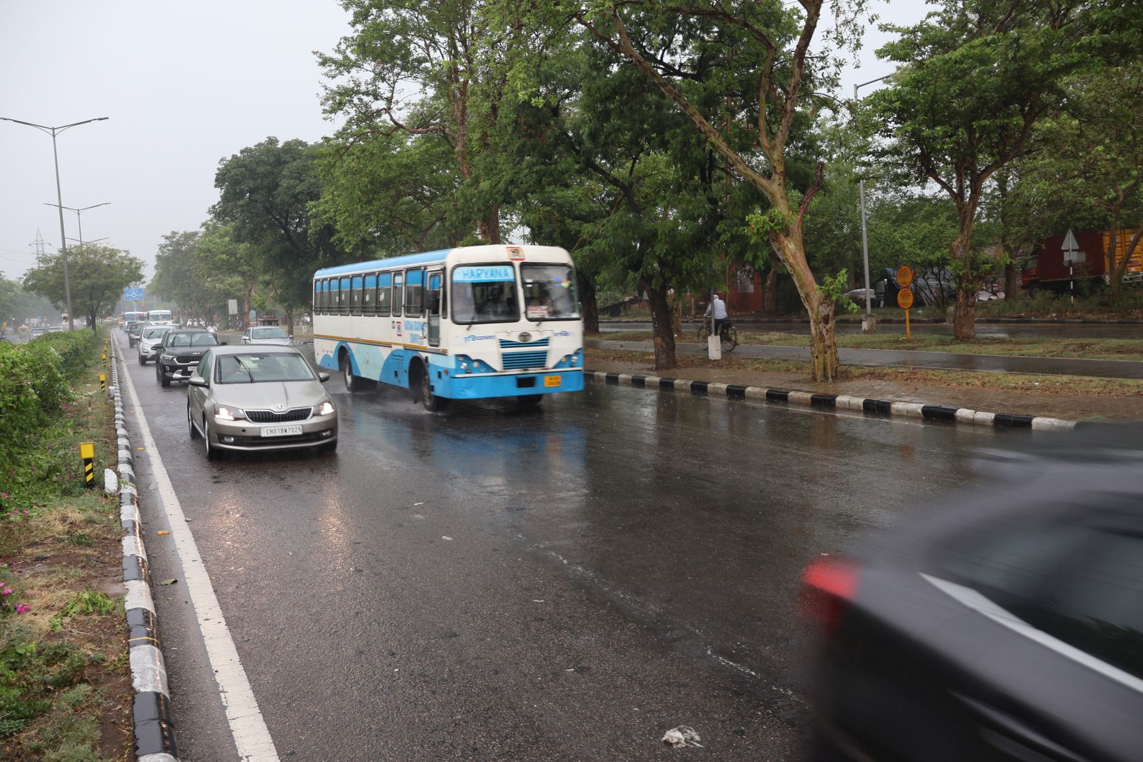 IMD Weather Chandigarh Punjab Haryana Rain Monsoon Entry