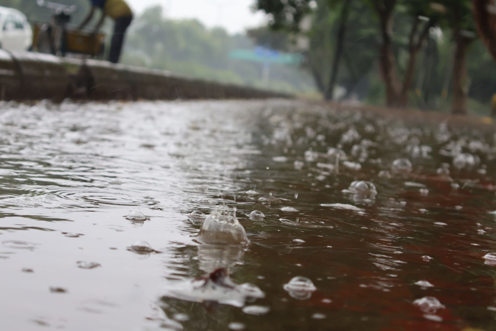 IMD Weather Chandigarh Punjab Haryana Rain Monsoon Entry