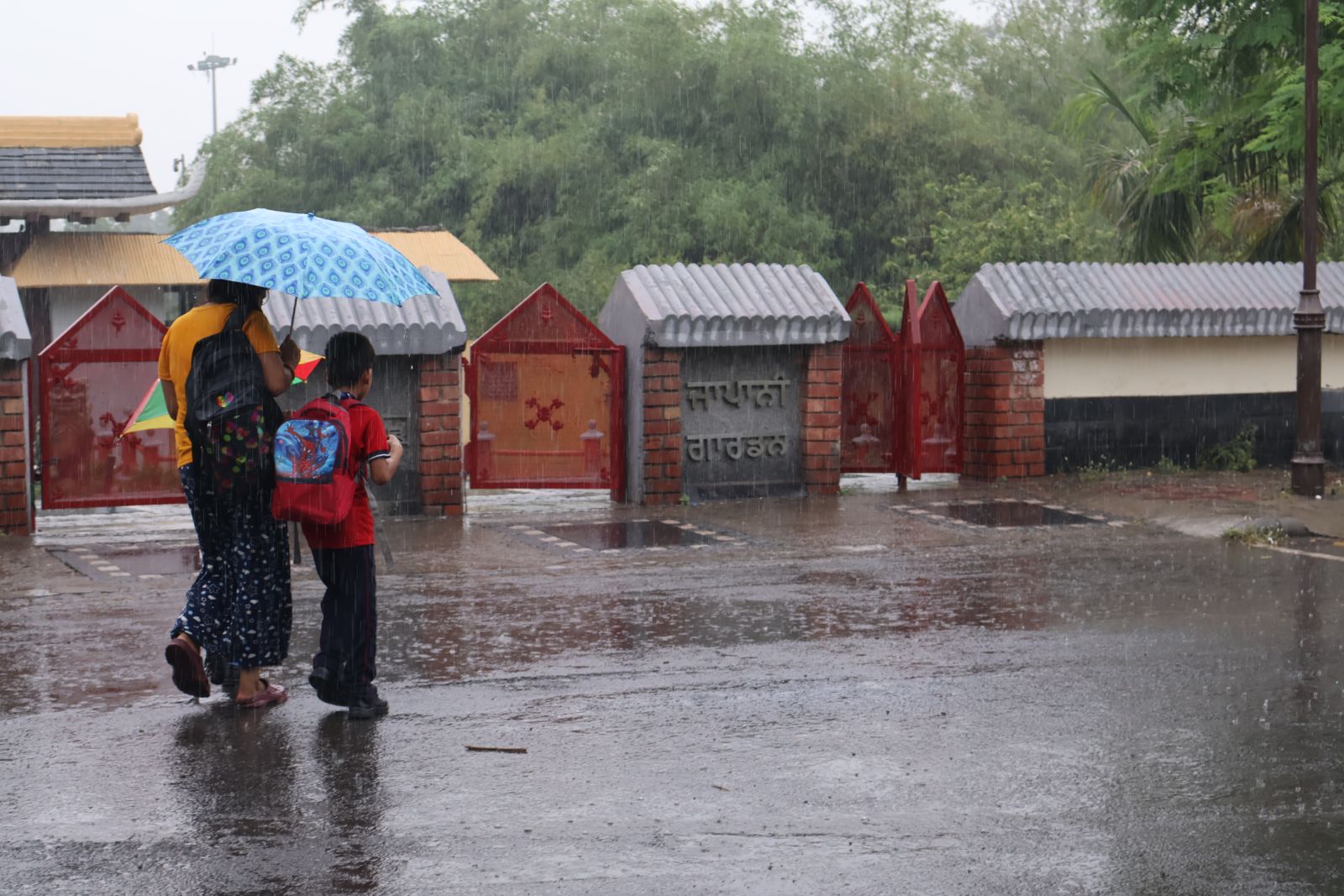IMD Weather Chandigarh Punjab Haryana Rain Monsoon Entry