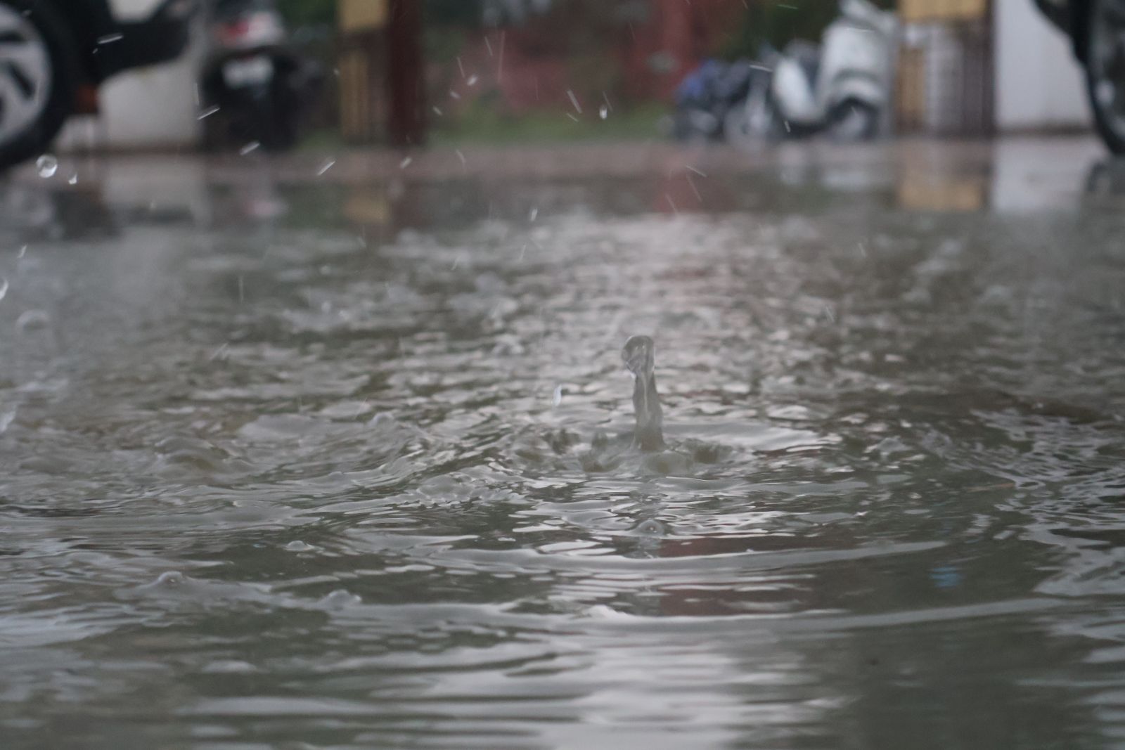 Chandigarh Rain Starts Again IMD Punjab Haryana Alert