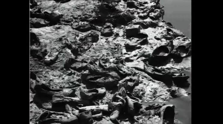  MahaKumbh Mela 1954 After India Independence Watch Video Story