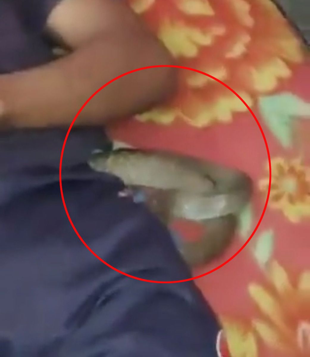 Meerut Wife Killed Husband