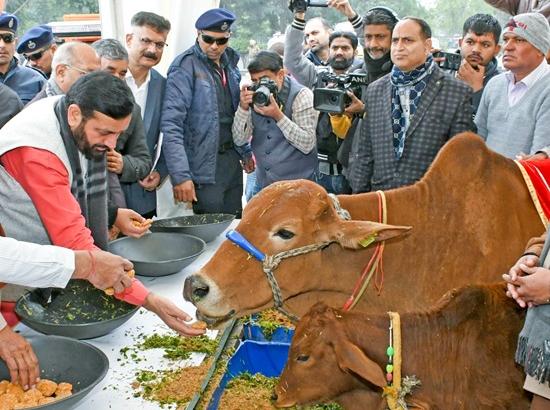 Gau Sala