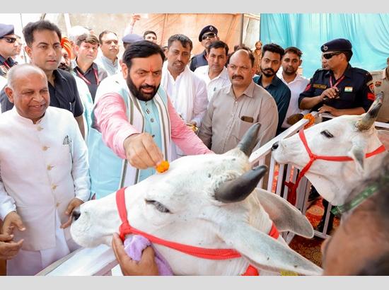 Cm Gau