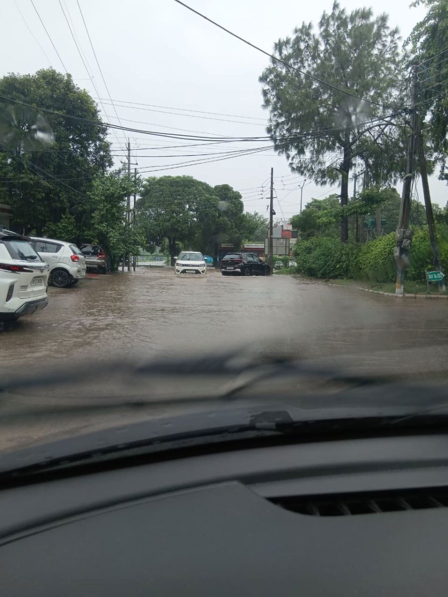 Panchkula Heavy Rain Tree Falls Roads Closed Traffic Diversion