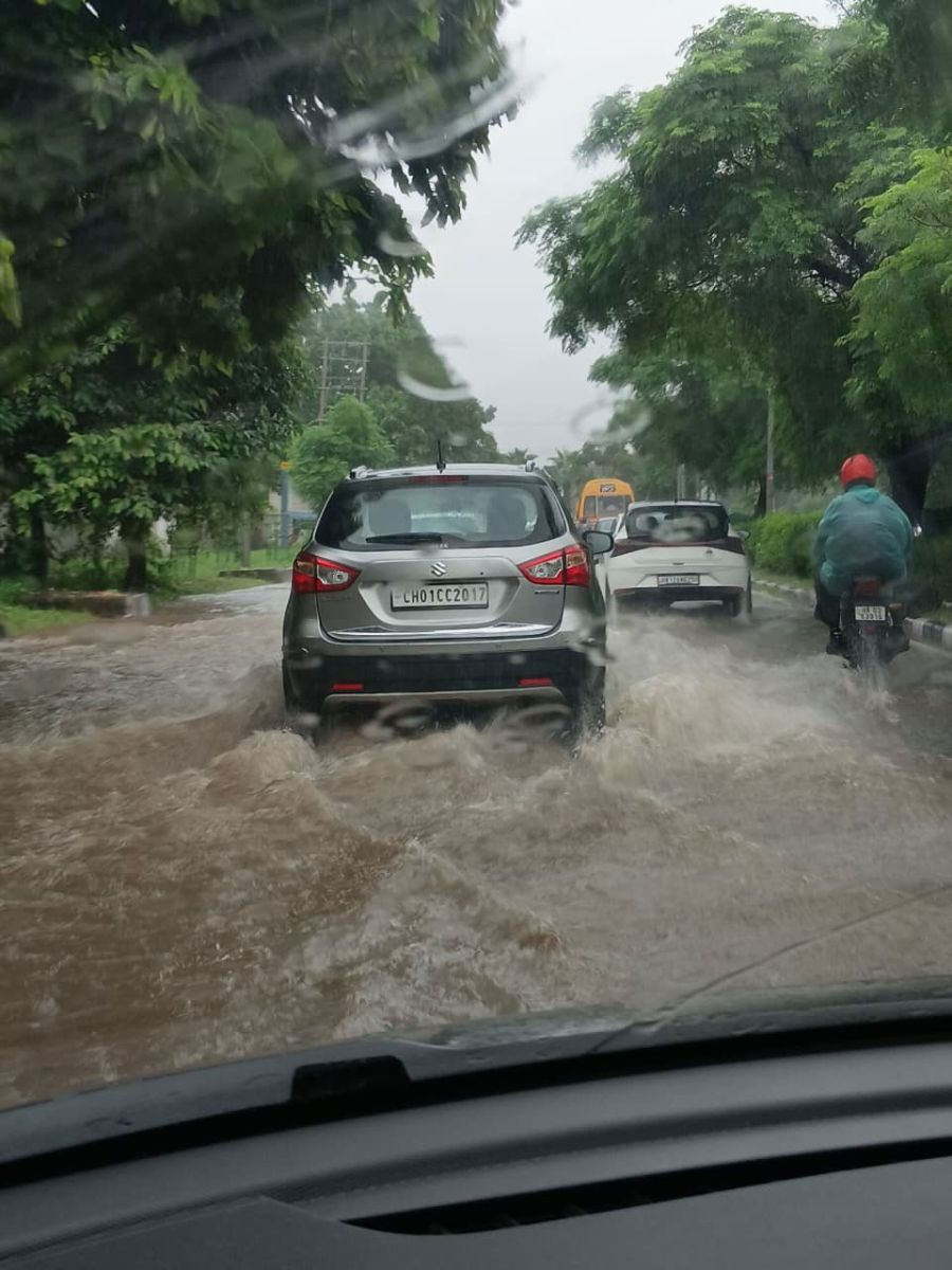 Panchkula Heavy Rain Tree Falls Roads Closed Traffic Diversion