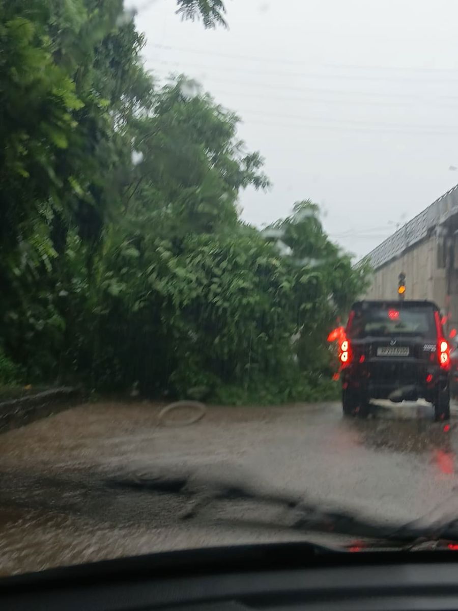 Panchkula Heavy Rain Tree Falls Roads Closed Traffic Diversion