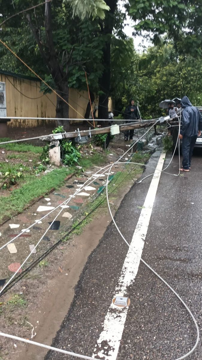 Panchkula Heavy Rain Tree Falls Roads Closed Traffic Diversion