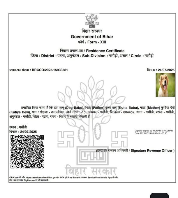 Patna Dog Address Proof