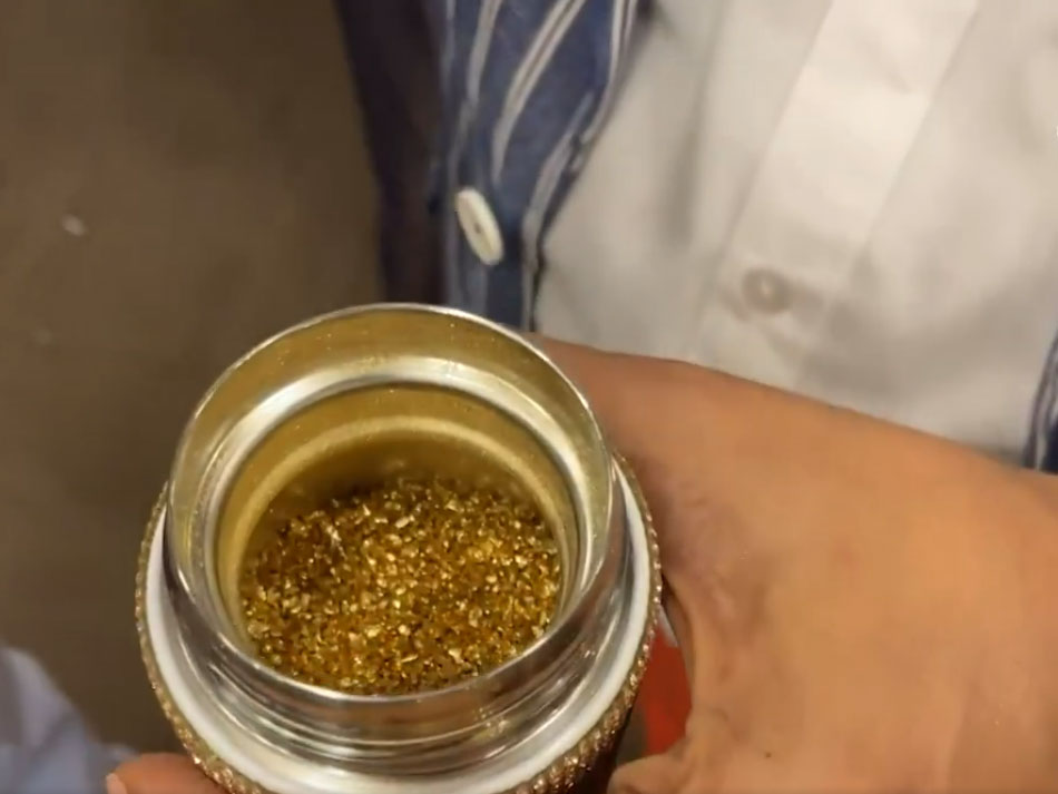 This Saree Worth Rs 39 Crore Made in Mumbai By Rohit Pisal