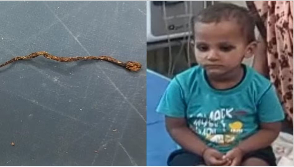 UP Farrukhabad Kid Chews Snake