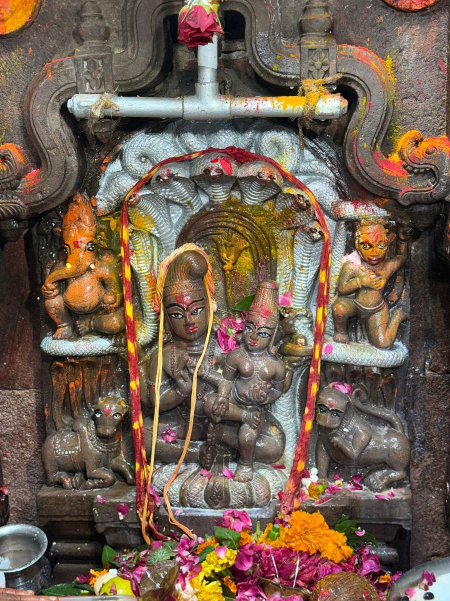 Ujjain Nagchandreshwar Temple Open In One Time In One Year On Nag Panchami