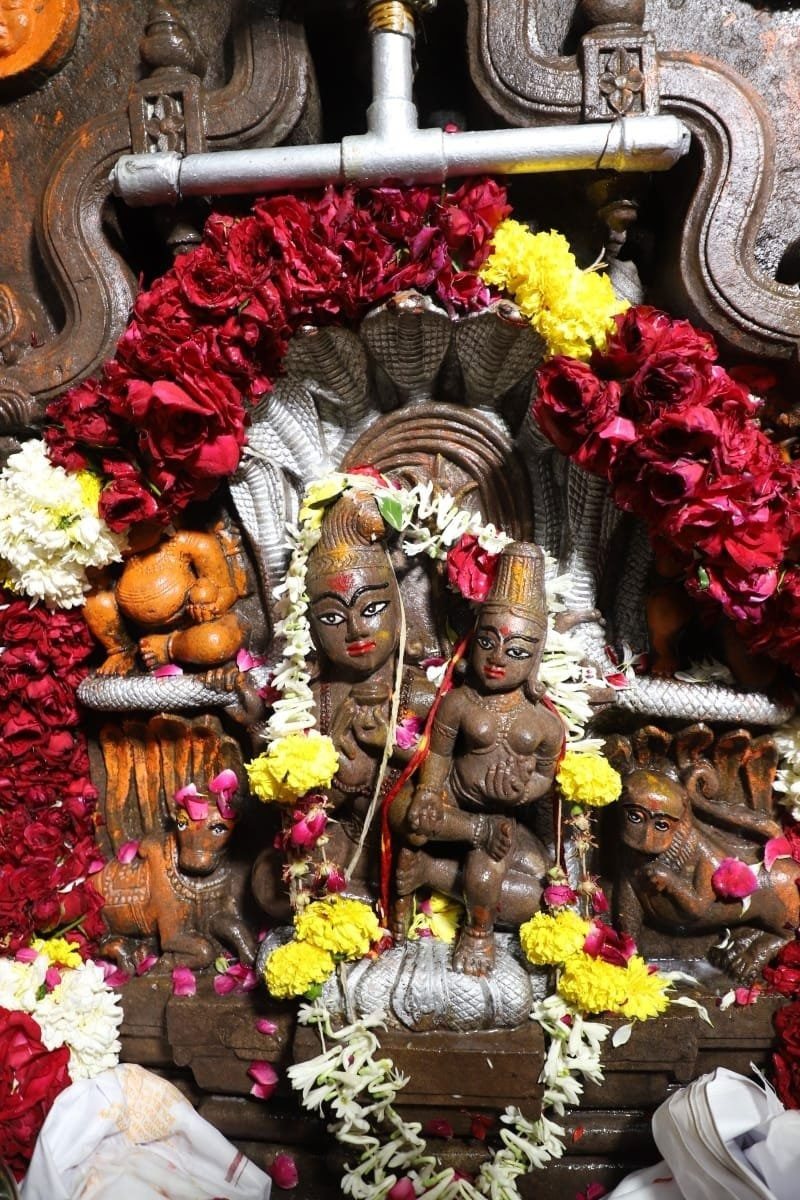 Ujjain Nagchandreshwar Temple Open In One Time In One Year On Nag Panchami