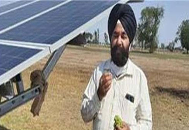  Punjab Doctor Murder News