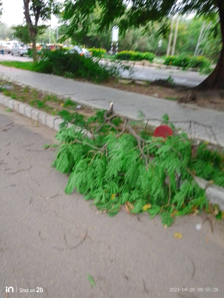 Chandigarh Thunderstorm and Rain Updates