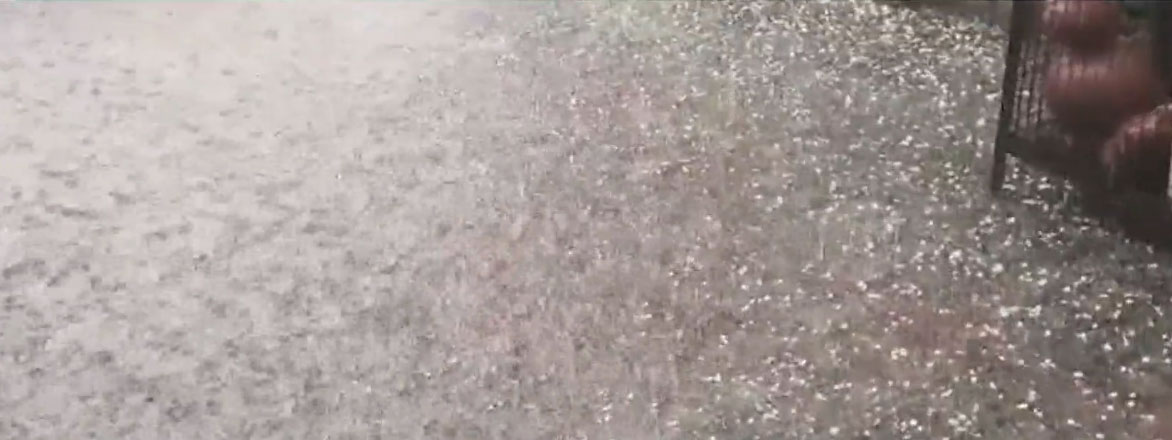 Weather Today Chandigarh Punjab Harayana Rain With Hailstorm