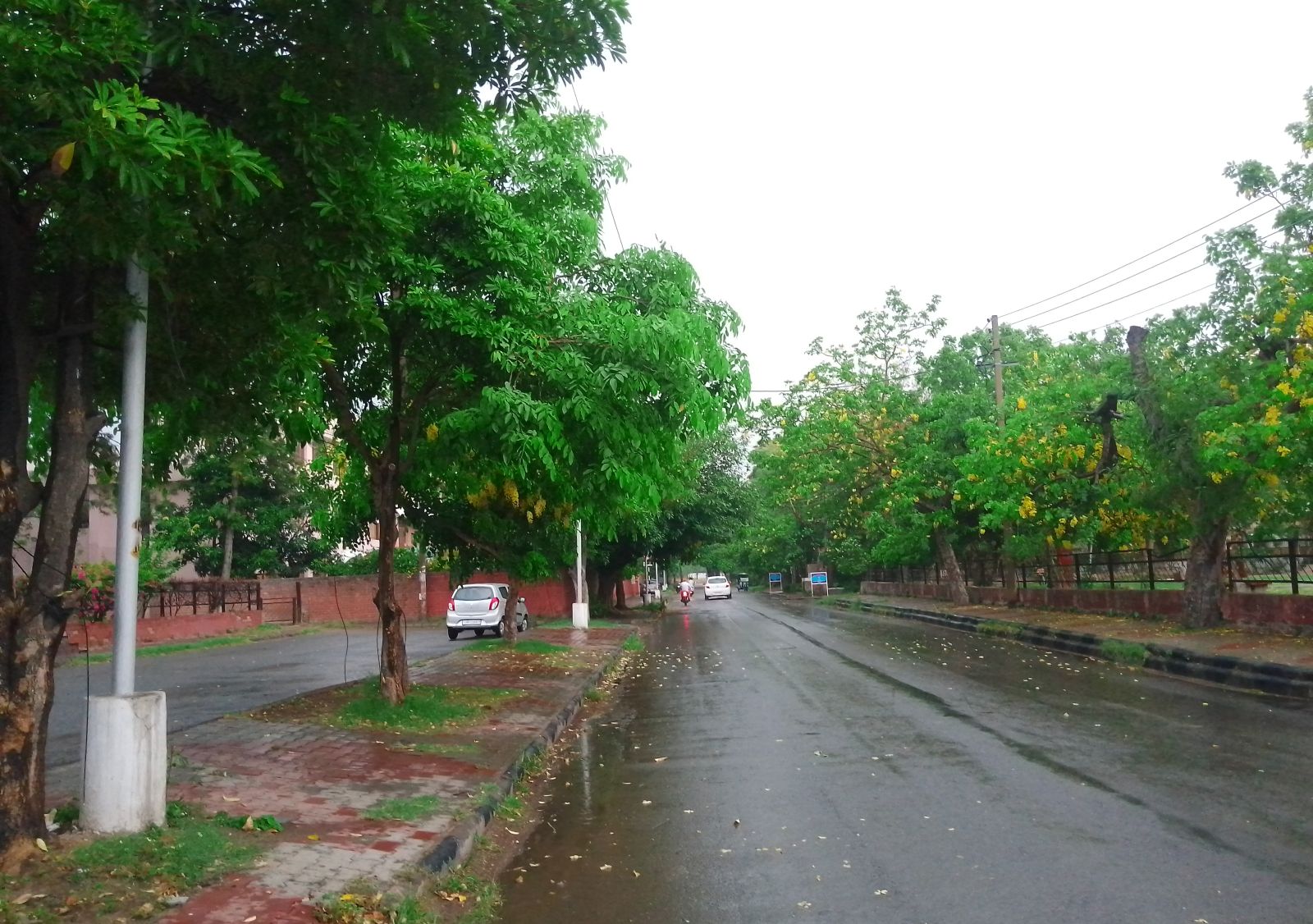 Weather Today Update Relief From Heat Wave Chandigarh Punjab Rain