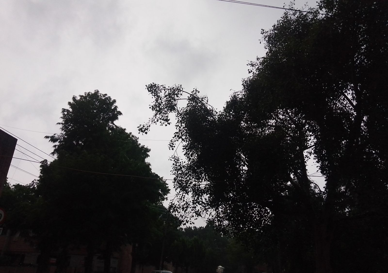 Weather Today Update Relief From Heat Wave Chandigarh Punjab Rain