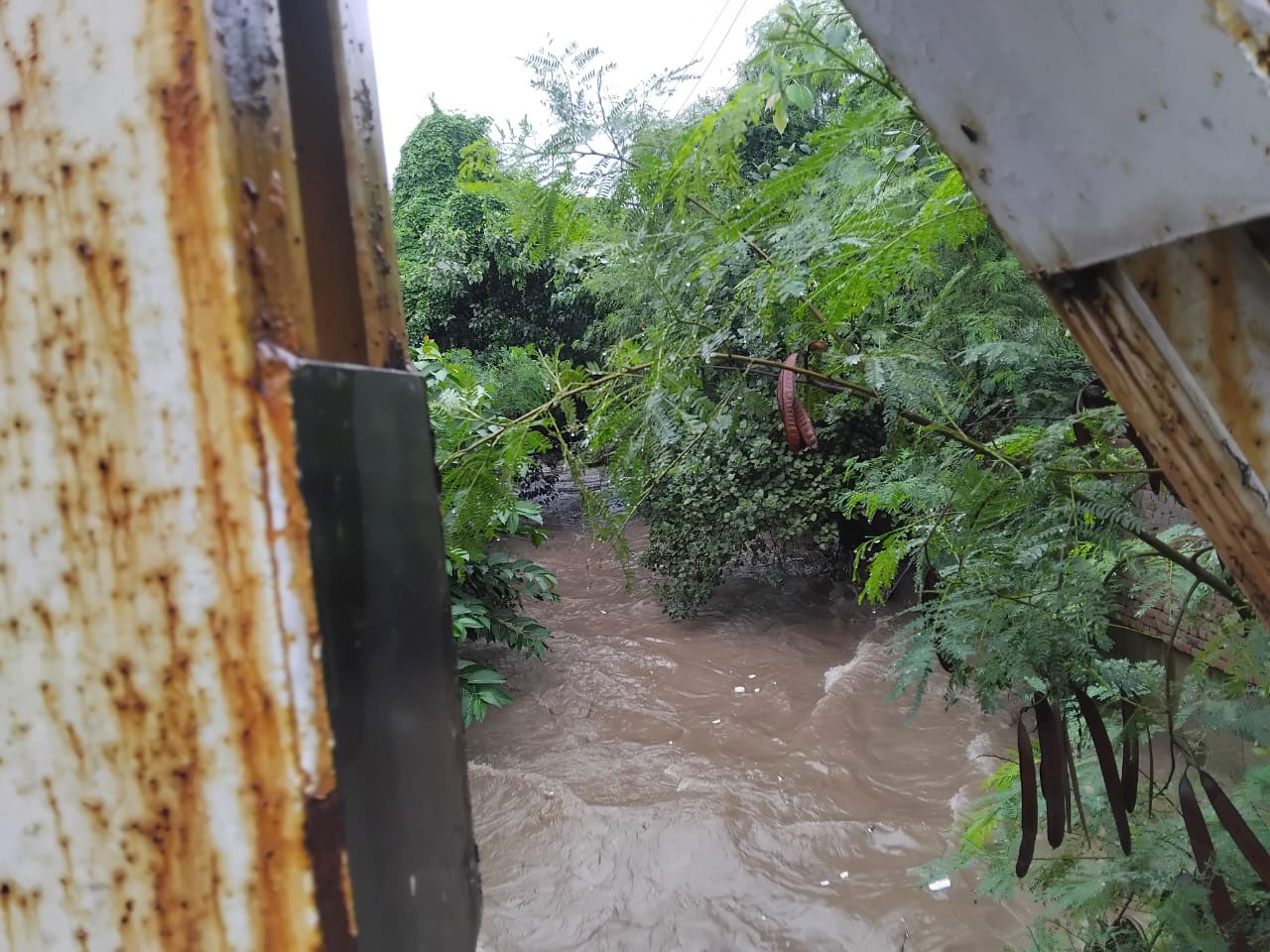 Zirakpur Dhakoli Heavy Rain Ghaggar Choe Water Level Increased
