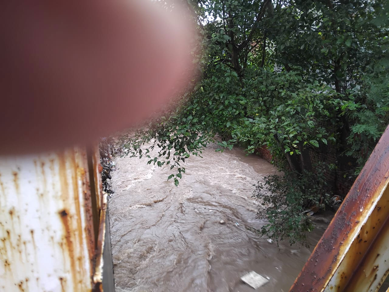 Zirakpur Dhakoli Heavy Rain Ghaggar Choe Water Level Increased